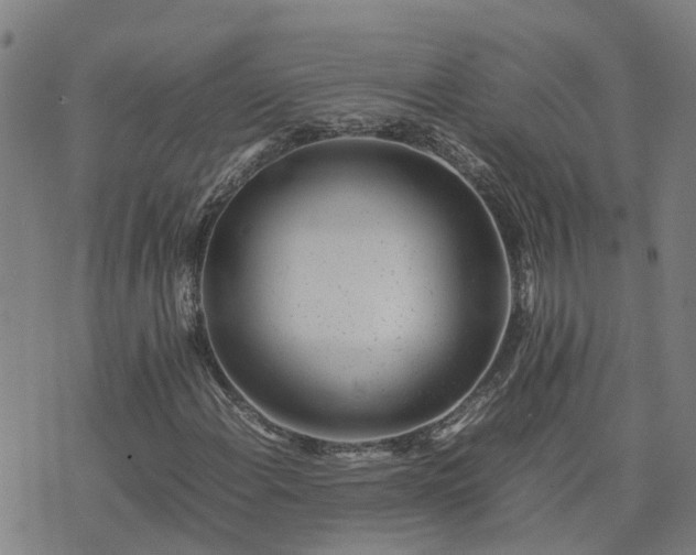 X0000074231108200609011235