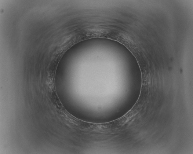 X0000074231109200609011235