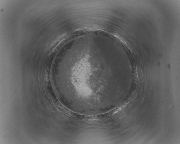 X0000074231110200609011235