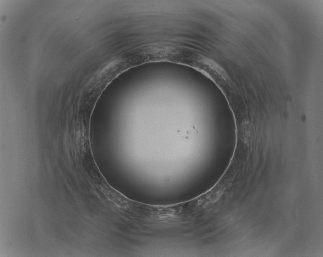 X0000074231111200609011235