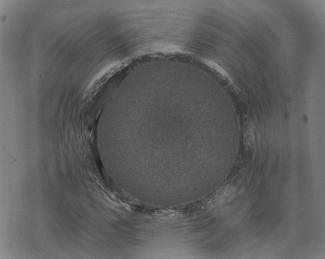 X0000074231112200609011235