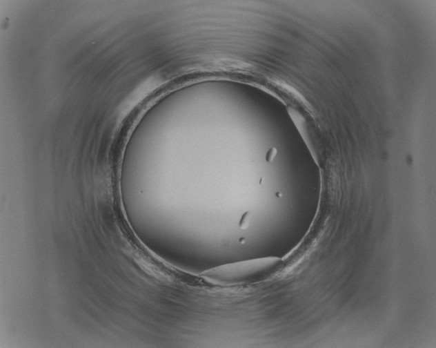 X0000074231114200609011235