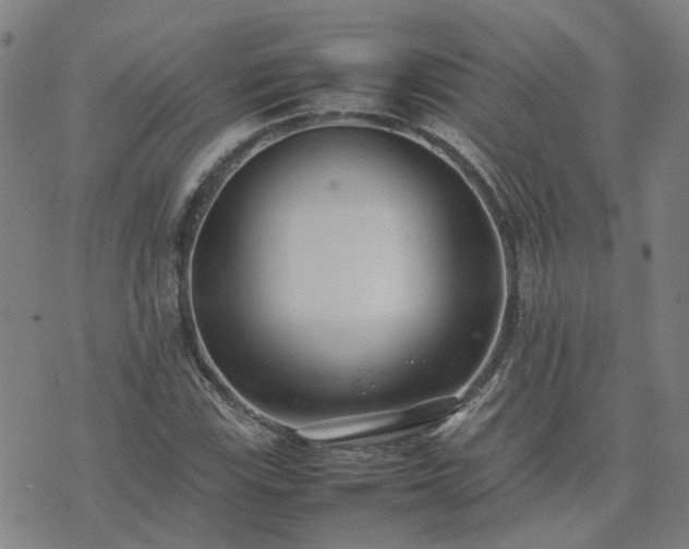 X0000074231115200609011235