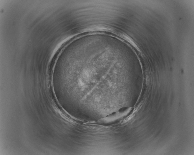 X0000074231116200609011235