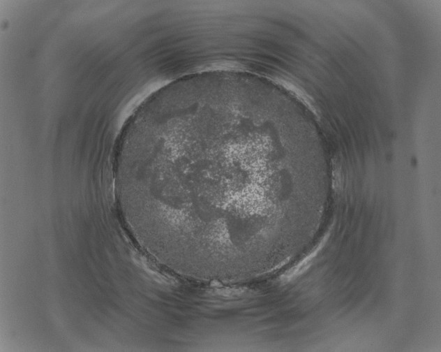 X0000074231117200609011235