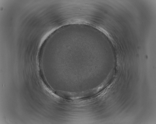 X0000074231120200609011235