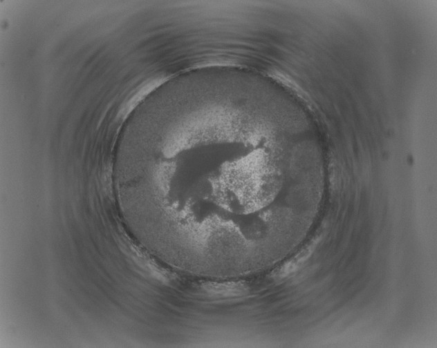 X0000074231121200609011235