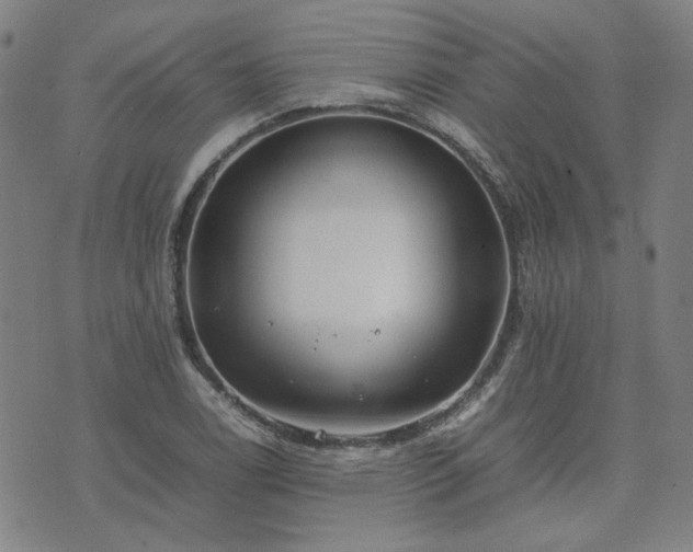 X0000074231122200609011235