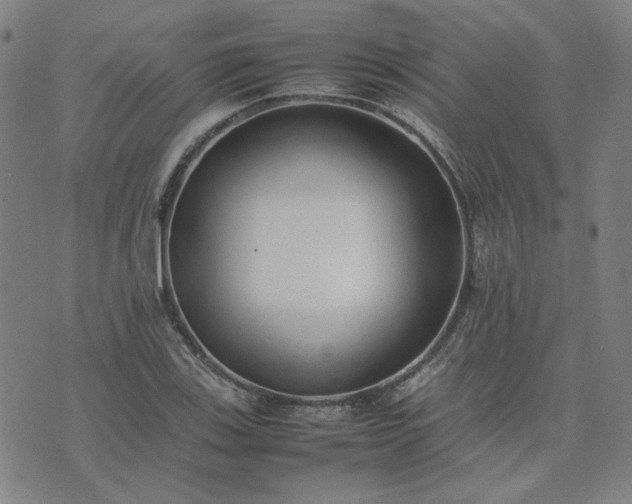 X0000074231123200609011235