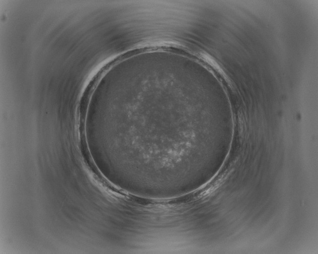 X0000074231124200609011235