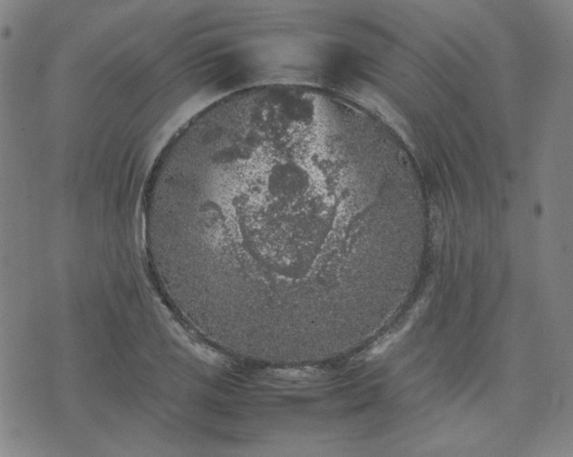 X0000074231125200609011235