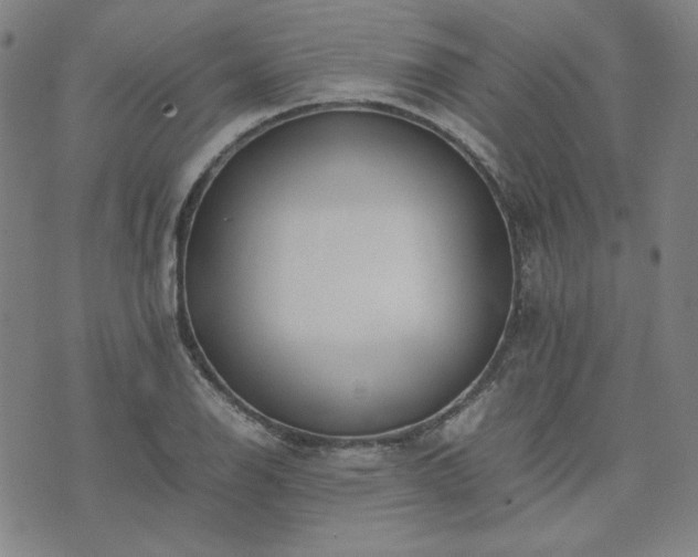 X0000074231126200609011235