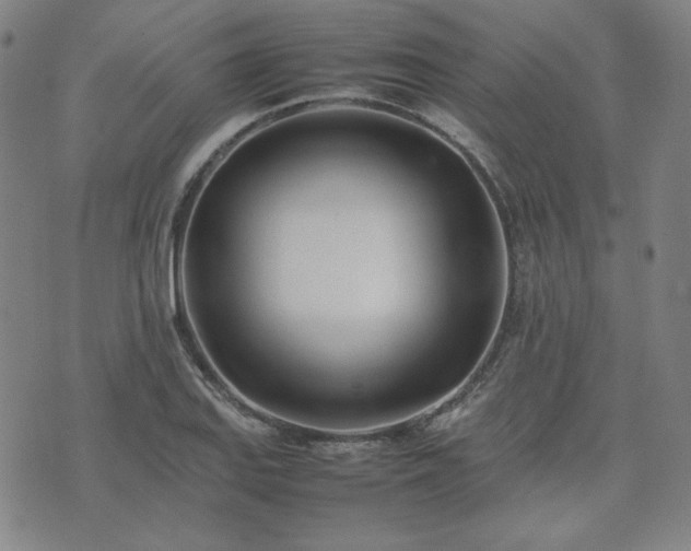 X0000074231127200609011235