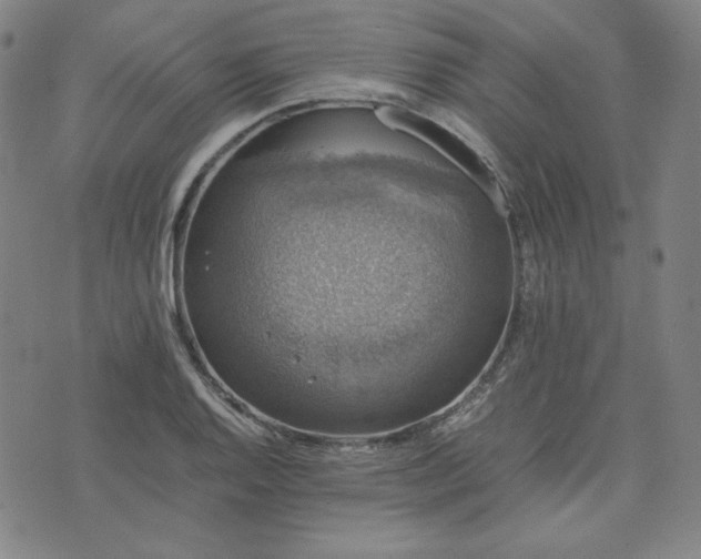 X0000074231128200609011235