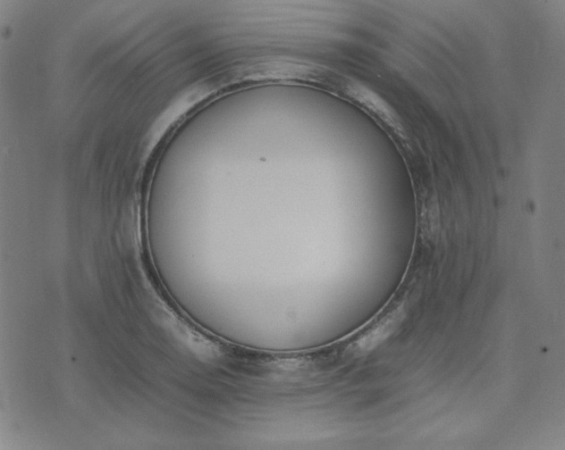 X0000074231130200609011235