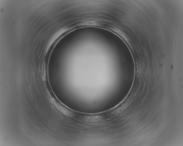 X0000074231131200609011235