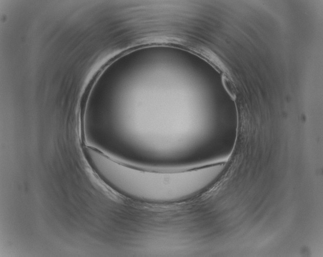 X0000074231132200609011235