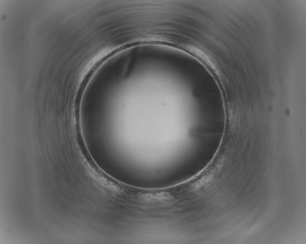 X0000074231133200609011235