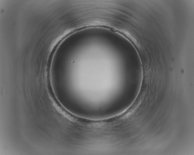 X0000074231134200609011235