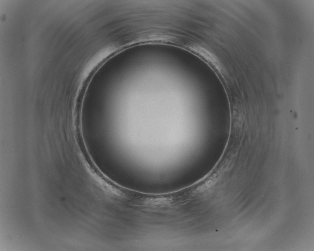 X0000074231135200609011235