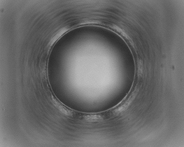 X0000074231137200609011235