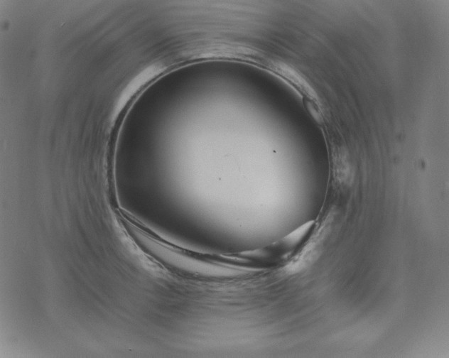 X0000074231138200609011235