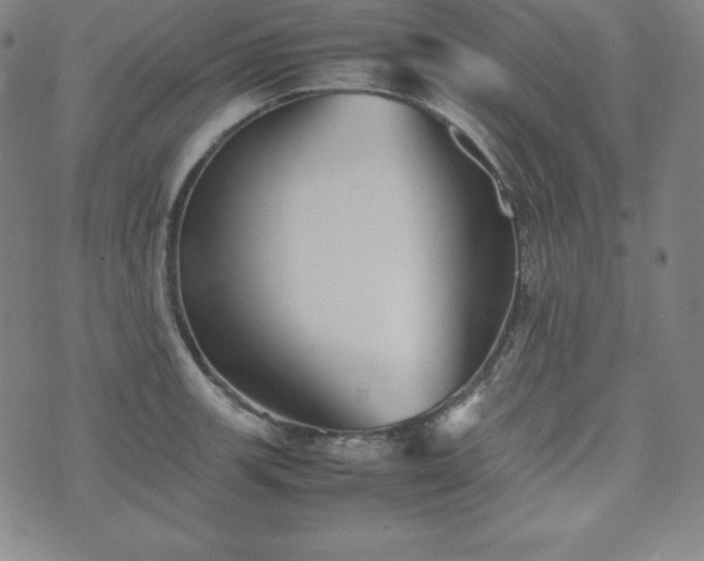 X0000074231139200609011235