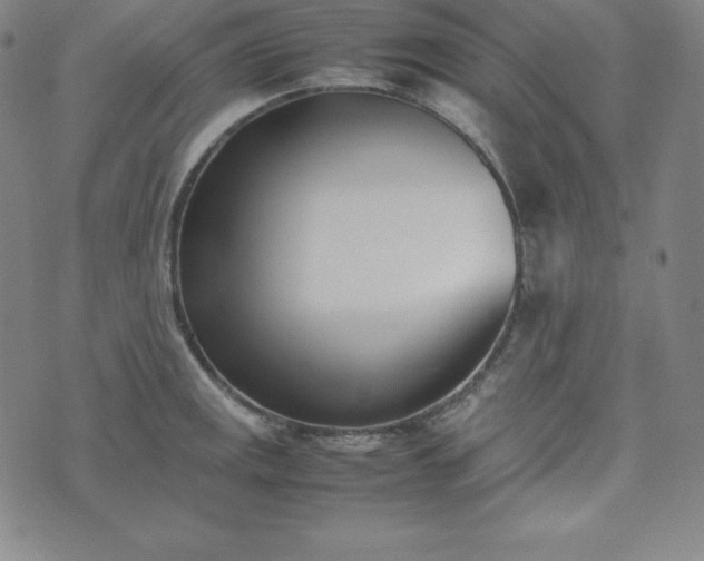 X0000074231141200609011235