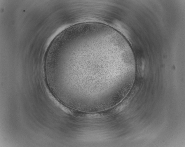 X0000074231142200609011235