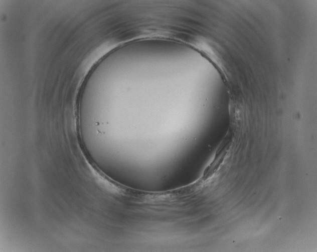 X0000074231143200609011235