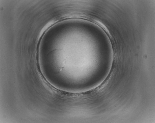 X0000074231146200609011235