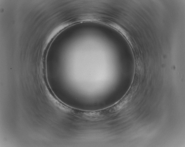 X0000074231147200609011235