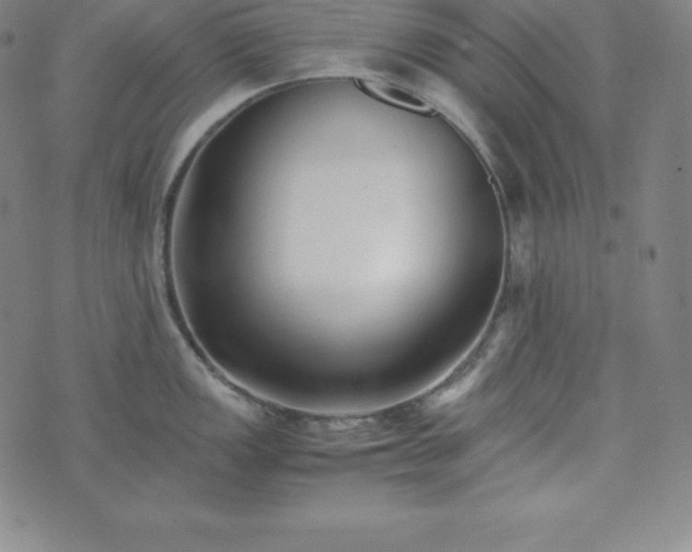 X0000074231149200609011235