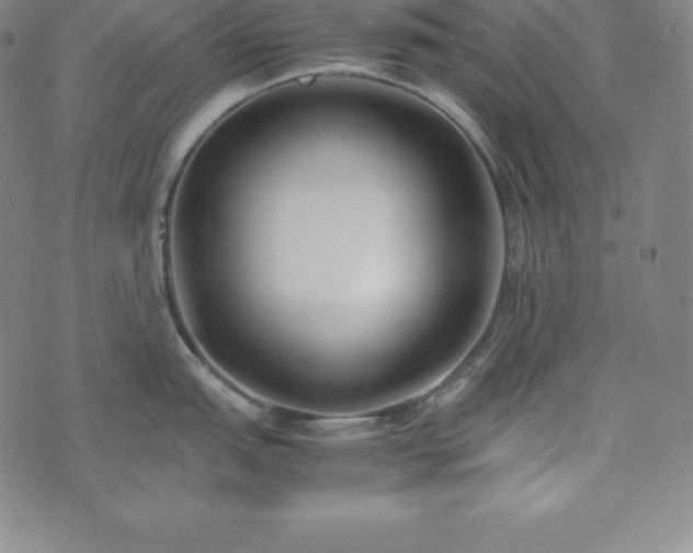 X0000074231151200609011235