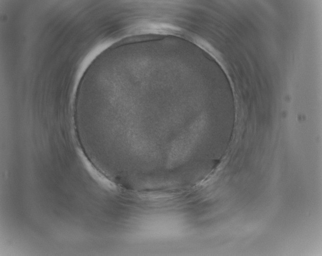 X0000074231152200609011235