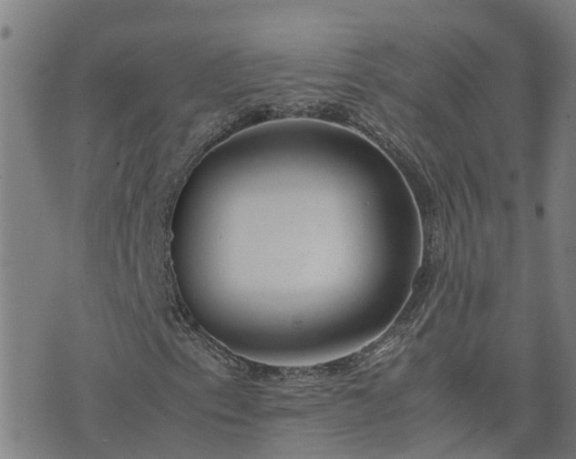 X0000074231153200609011235