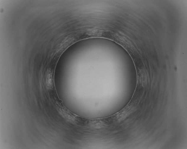 X0000074231154200609011235