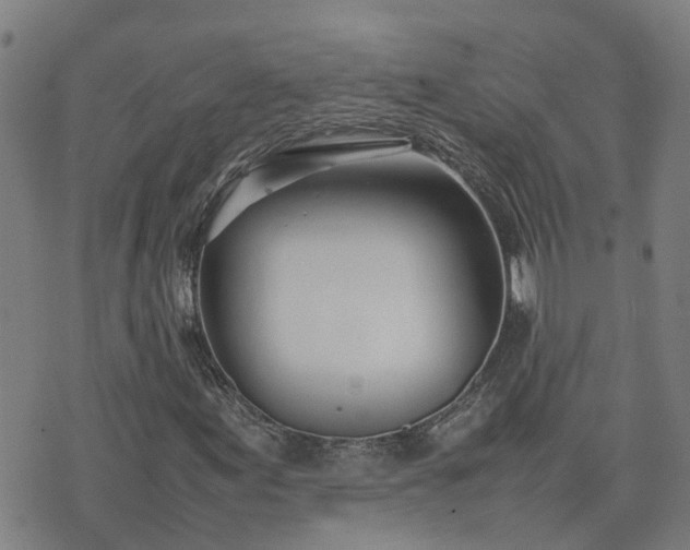 X0000074231155200609011235