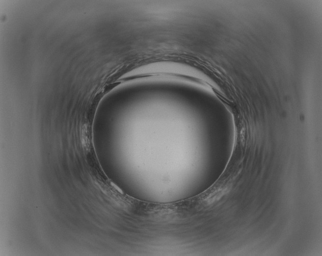 X0000074231156200609011235