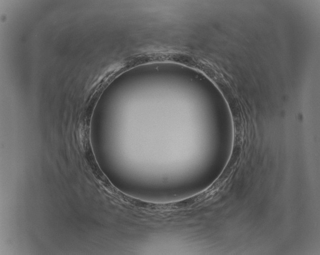 X0000074231157200609011234