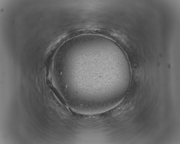 X0000074231159200609011234