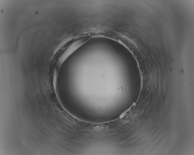 X0000074231160200609011234