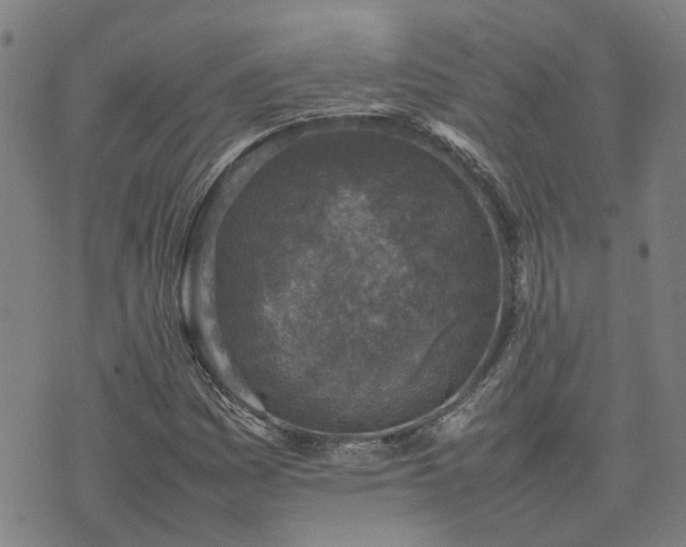 X0000074231161200609011234