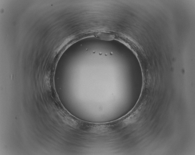 X0000074231162200609011234