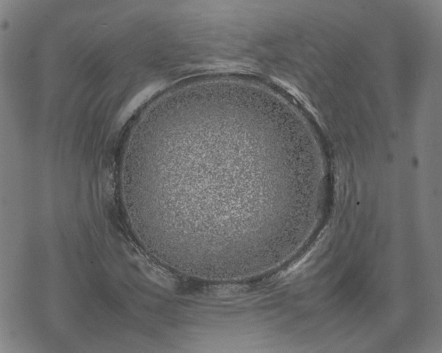 X0000074231163200609011234