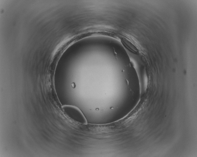 X0000074231164200609011234