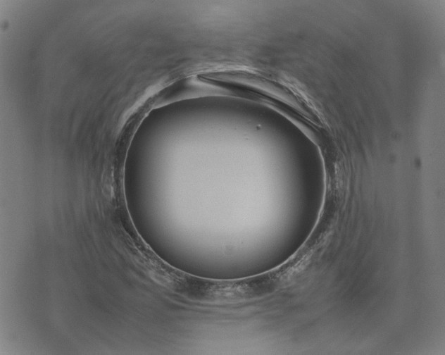 X0000074231165200609011234