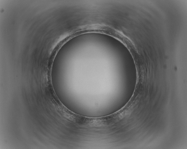 X0000074231166200609011234