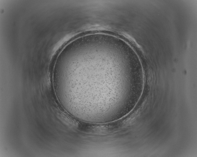 X0000074231167200609011234