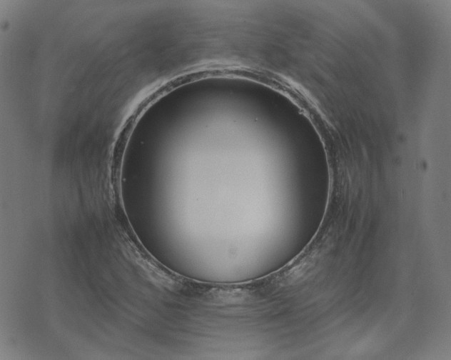 X0000074231168200609011234